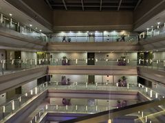 -南京禄口机场雅高铂尔曼大酒店