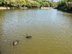 -荔枝公园(福田区)