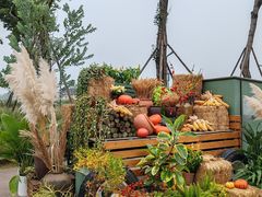 -中国天府农业博览园