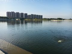 -映月湖中央公园