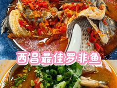 -风鑫铃罗非鱼(道沟店)
