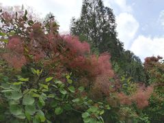 -山东省千佛山医院
