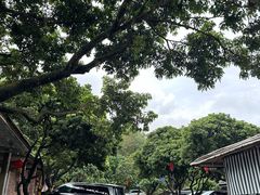-满記土窑烧鷄波浪山莊