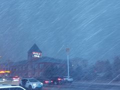 -塞罕坝国家级自然保护区