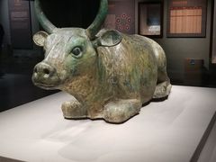 -宁夏博物馆