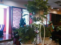 -陇菜和盛祥(金轮宾馆店)
