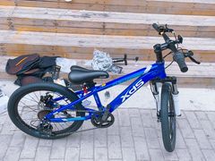 -道路口单车爱瓦士dahon大行