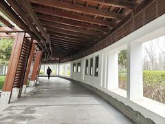 -蠡湖大桥公园