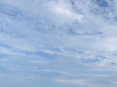 -碧海金沙