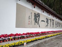 -严子陵钓台(富春江小三峡)