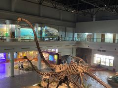 -自贡恐龙博物馆