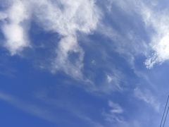-御道口草原森林风景区