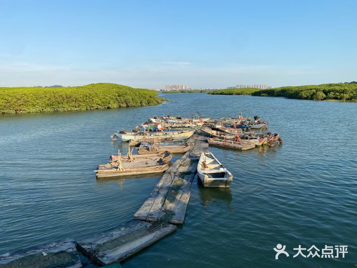 洛阳桥图片