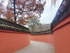 -宝光寺