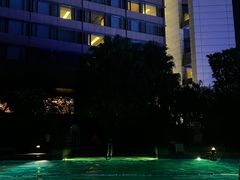 -深圳星河丽思卡尔顿酒店