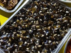 -海鸥岛河景湖大排档