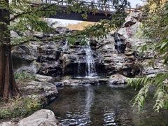 -国家植物园南园