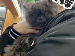 -爱侣宠医·鹦鹉专科·小型哺乳类·异宠专科(灵石路店)