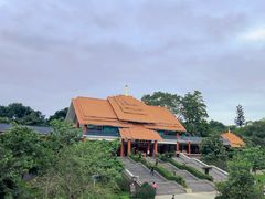 -大屏嶂森林公园