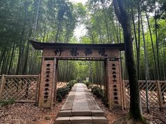 -大奇山国家森林公园