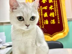 -全心全意连锁动物医院(石景山店)