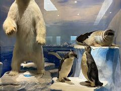 -国家自然博物馆