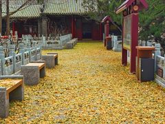 -潭柘寺景区