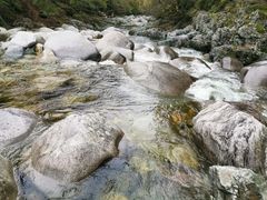 -黑河国家森林公园