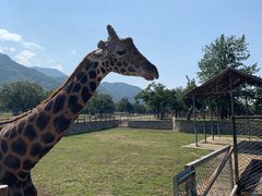 -西安秦岭野生动物园