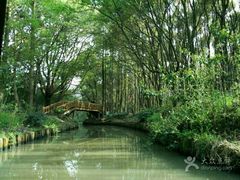 -同里国家湿地公园