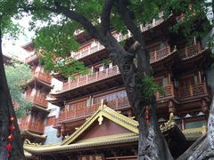 -大佛寺高级素食自助餐厅