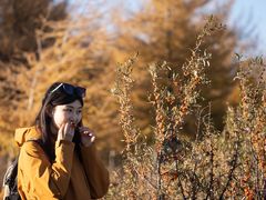 -灵山