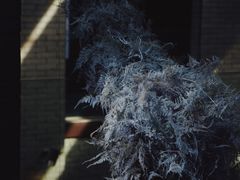 -成都许燎源现代设计艺术博物馆