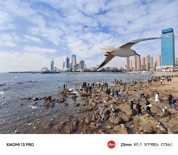 栈桥景区图片