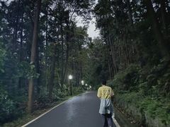 -潜山国家森林公园