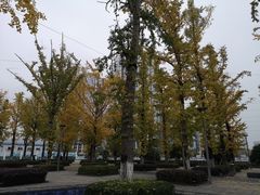 -百林公园-两江幸福广场