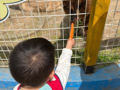 -武汉紫薇都市田园