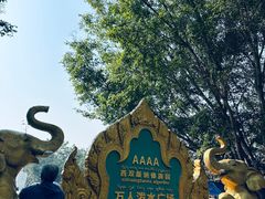 -西双版纳傣族园