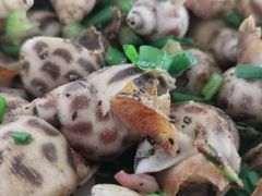 -七鲜渔港美食餐厅(巽寮湾海景店)