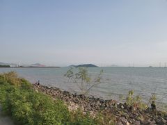 -宝安西湾红树林湿地公园