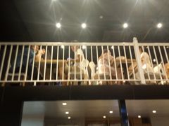 -松哥油焖大虾(科技园店)