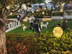 -Ameigo梅果·云贵川bistro(长宁来福士店)