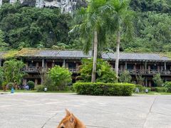 -明仕田园