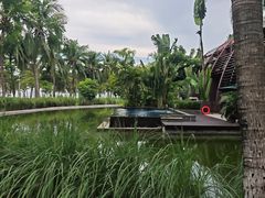 -三亚湾海居雅高铂尔曼度假酒店