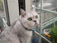 -小时光咖啡馆(北锣鼓巷店)
