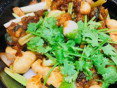 生啫辣味牛蛙-粤食堂(天津和悦汇店)