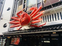 -蟹道乐(道顿堀本店)