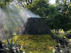-上海鲜花港
