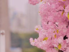 景观位-城市露台景观餐厅(淮海路店)