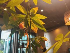 -祖母的厨房西餐厅(丽江金茂店)
